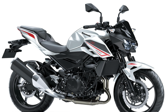 2018 - 2020 Kawasaki Z400 Fairing 01