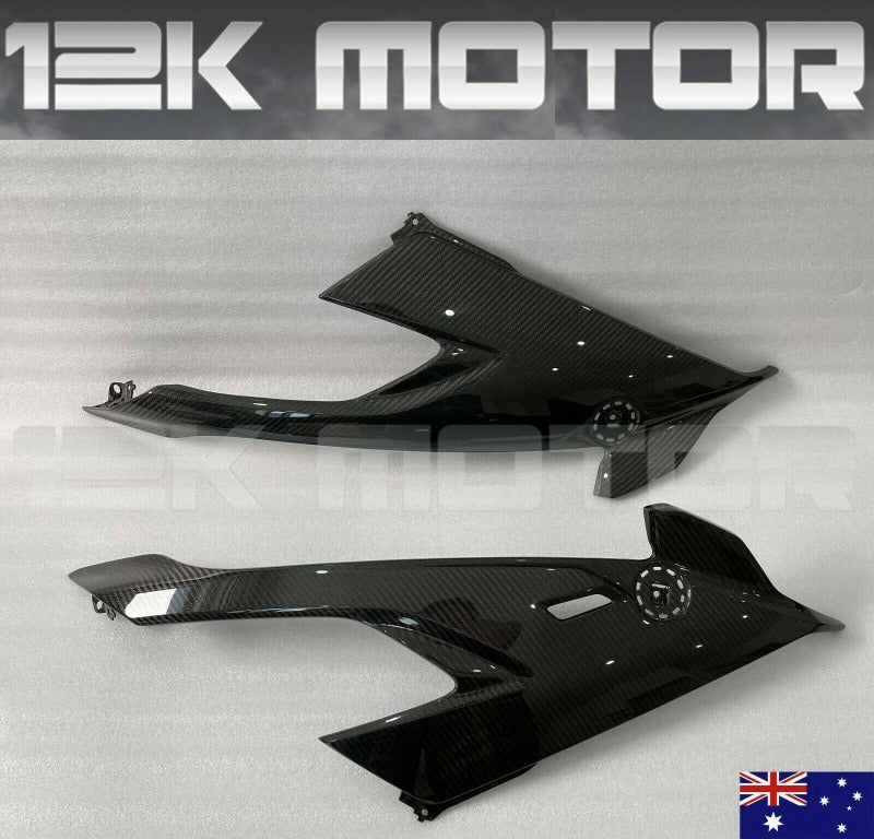 2021 BMW S1000RR Carbon Fiber Parts