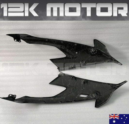 2021 BMW S1000RR carbon fiber
