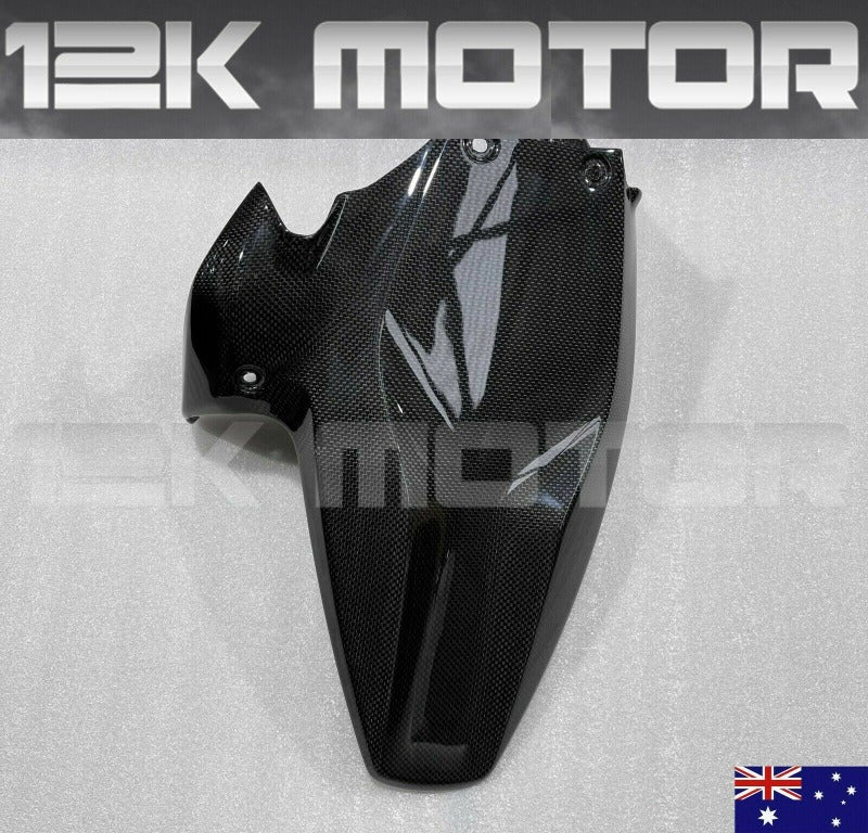 Ducati 1299 carbon fiber 12