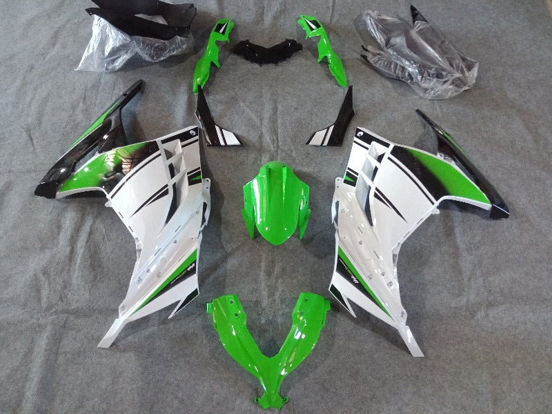 Kawasaki Ninja 300 Fairings SE 01
