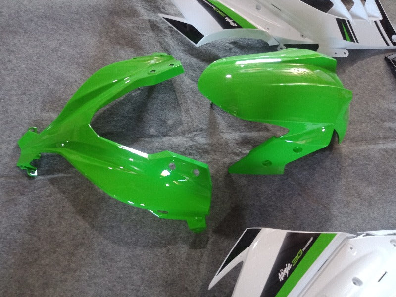 Kawasaki Ninja 300 Fairings SE 02