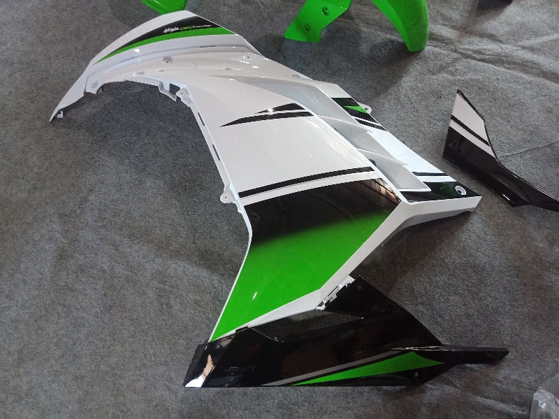 Kawasaki Ninja 300 Fairings SE 04