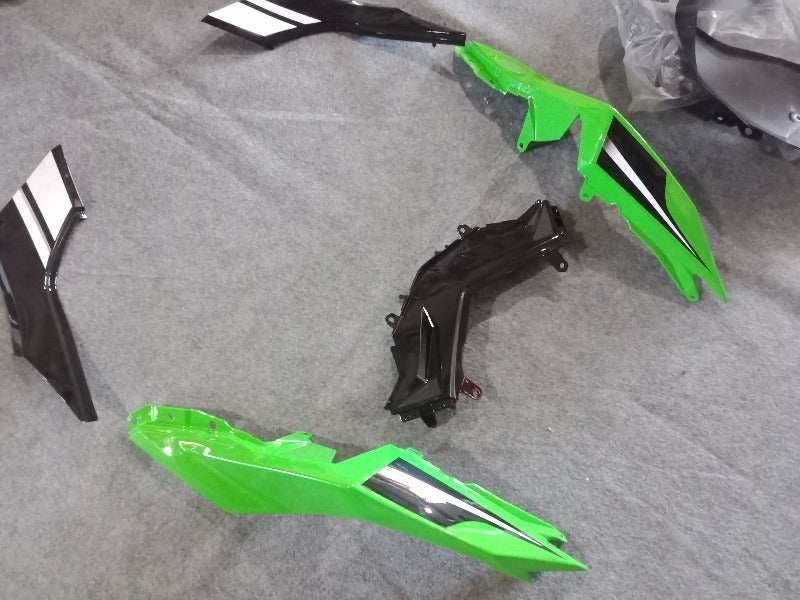 Kawasaki Ninja 300 Fairings SE 05