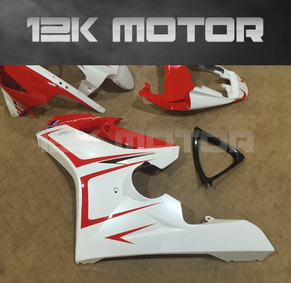 Triumph Race fairings 04