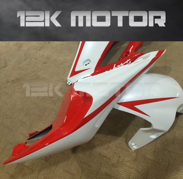 Triumph Race fairings 05