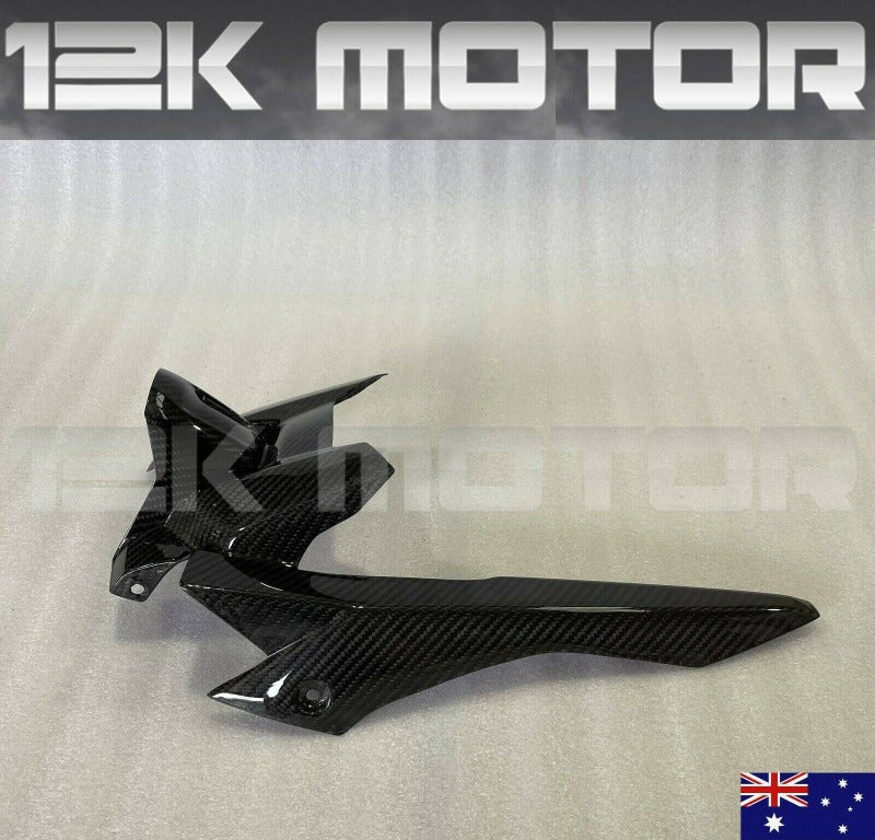 Yamaha FZ1 Carbon Fiber 01