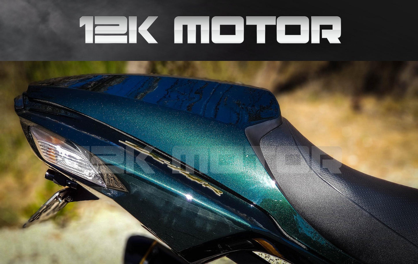 KAWASAKI ZX14R 2012-2017 Dark Green Fairing | 12K MOTOR