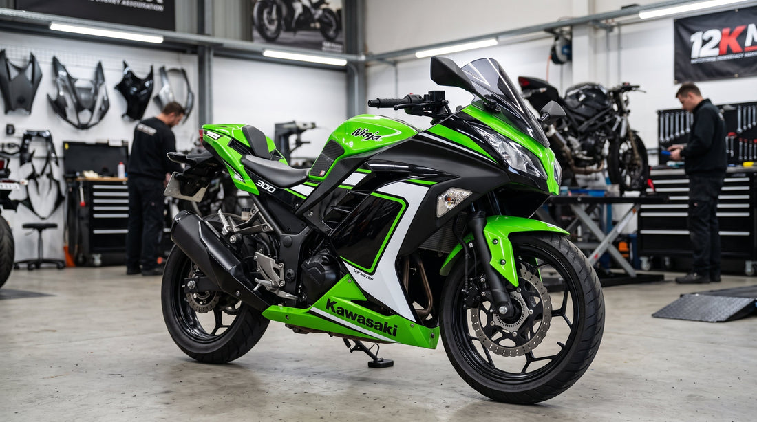Kawasaki Ninja 300 Riding & Build Guide