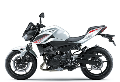2018 - 2020 Kawasaki Z400 Fairing 02