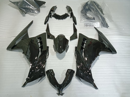 Kawasaki Ninja 300 Fairings 01