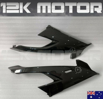 2021 BMW S1000RR Carbon Fiber Parts