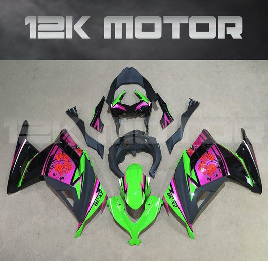 Ninja 300 2013 - 2017 Fairing Kit