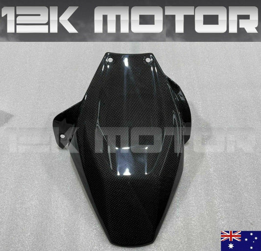 Ducati 959 carbon fiber 12
