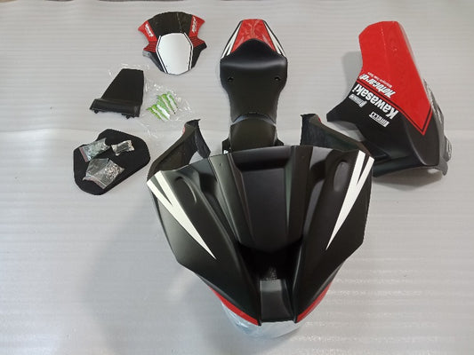 Kawasaki ZX10R Race Fairings 03