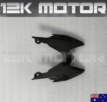 carbon fiber motorcycle parts BMW S1000RR